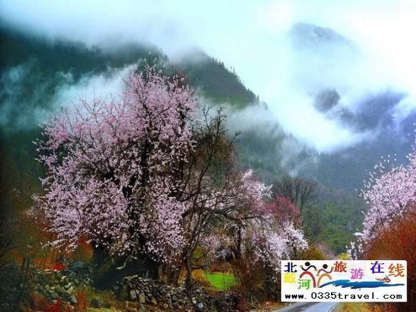 【圆梦之旅西藏】-林芝桃花节特惠双卧十一日