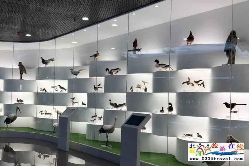 秦皇岛北戴河鸟类博物馆